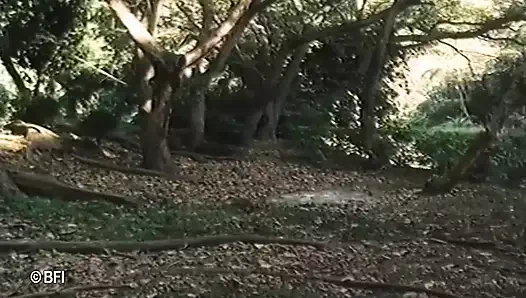 Sahilde seks bölüm 2.