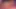 Muhteşem trans femboy oral seks anal web kamerası