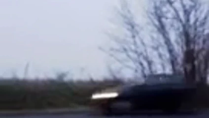 Kahverengi taytlarım yolda #3