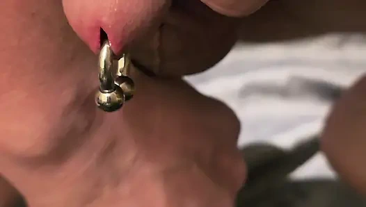 Prostat masajı eller boşalmaz prience-albert-piercing pirsingli aşçı