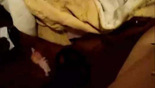 amateur sucks cock to cum on her tits than facial