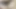 Porno yıldızı yarak alıyor