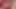Oyuncu seçmeleri ateşli orta yaşlı seksi kadın Kimmy, Alisha, Kaylee, Mia, Lilly, Makayla, Kate, Kelly, Olivia ve Lexi amcıklarını genişletiyor