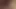 anal Asya gf