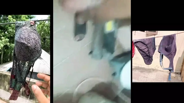 Desi Brezar Desi bhen
