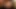 Harika memeli seksi gençler yarak emiyor ve kanepede domalarak sikiliyor