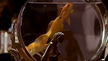 Jessica Lange - Frances