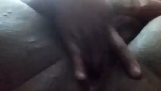 Phat ıslak kremsi kedi