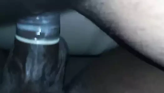 lanet iyi ıslak KEDİ