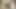 Shakira yeni videosunda seksi