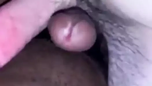 Irklararası frot tomurcukları
