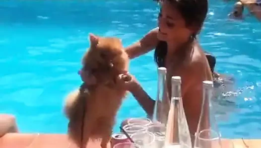 Raquel Mateo de Fama
