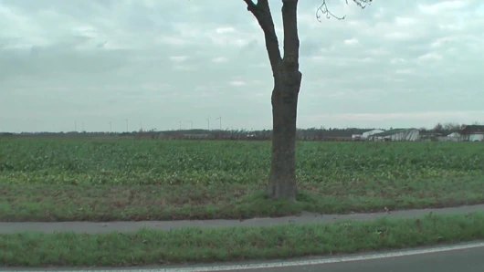 Alman - büyük memeli kız açık havada