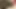 En ateşli şişman göt pornosu - ev ofisinden çalışan sekreter sikişmek kadar yaramaz! Boşalmamak için çok çabalaacaksın - etek