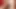 Üst düzey sarışın Fransız bebekler yoğun lezbiyen eyleminde dildo paylaşıyor
