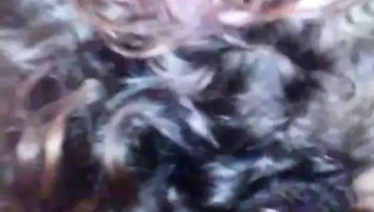 Kuzenim boğazında benim horoz ile