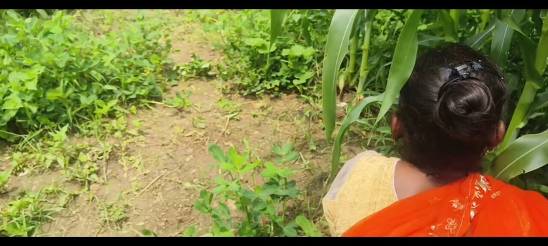 Sonam трахнули на кукурузном поле