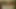 En genç kız üvey kız kardeşiyle sikişiyor - seks videoları