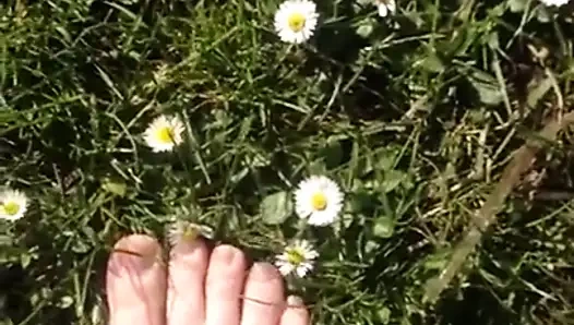 Ayaklarımı gösteren çimenler ve papatyalar üzerinde yürümek