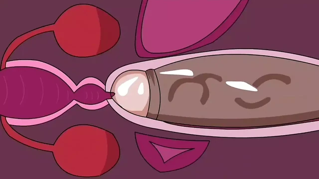 İç boşalma #2 (animasyon)