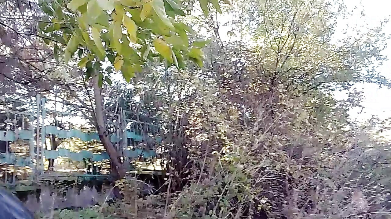 Sonbahar çıplaklığı