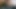 Gepiercter und abgebundener Schwanz mit Dildo im Arsch