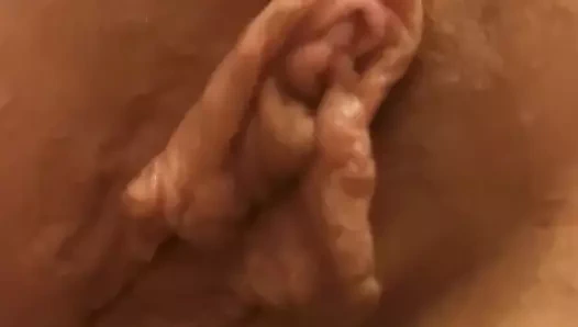 etli kedi dudakları