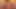 Creamy Onlyfans Modeli