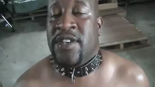 itaatkar siyah yeme beyaz dick