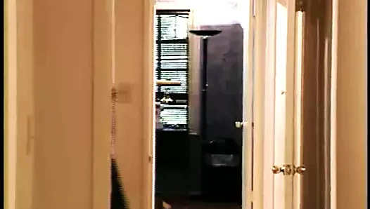 Dallas Whitacker - ateşli aşk 2 (1995)