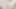Bu büyük dildodan nasıl boşaldığımı ve tadını çıkardığımı görmelisin! Mahmuzlara boşalmayı seviyorum, amcığım çok ıslak