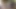 Şınavlar bu vahşi striptiz oyununda güçlerini test ediyor