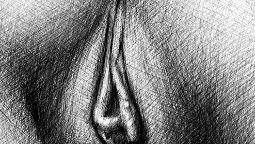 KEDİ sanat koleksiyonu