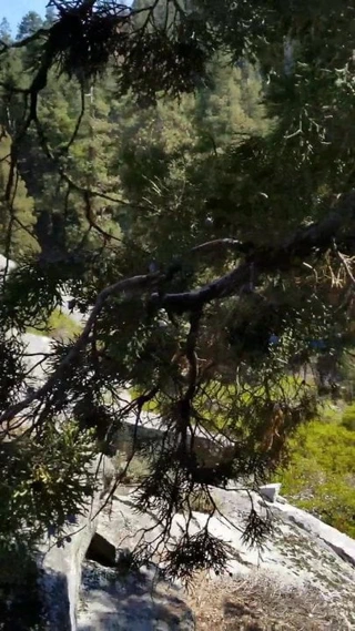 Bir yürüyüş gezisi sırasında beni sik