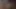 facebooktan dev titty civciv