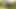 Camo'da sarışın ve ormanda kırmızı iç çamaşırlı esmer