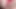 Üniversiteli üvey kız kardeşimin kıllı amını boşaltmak için dilimi ve damarlı bir dildo kullanıyorum