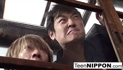 Japon genç geyşa var ona kıllı kedi oynamıştı içinde bir dojo