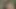 Bağbozumu seksi öğrenciler ccc Alman dub