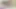 Meraklı tanrıça - ateşli orta yaşlı seksi kadın amazon misyoner oral seks