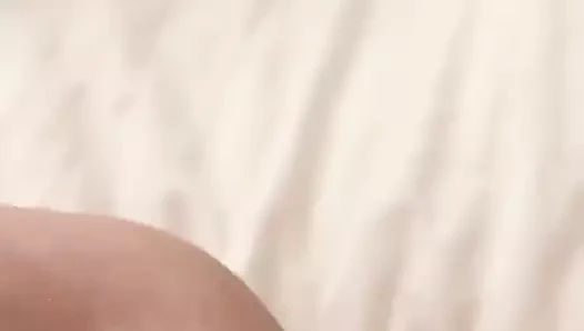 Sıcak eş çalış ile ıslak kedi