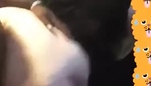 Jewels büyük göt kutu almak bazı çük