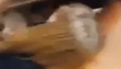 O nasıl emileceğini biliyor