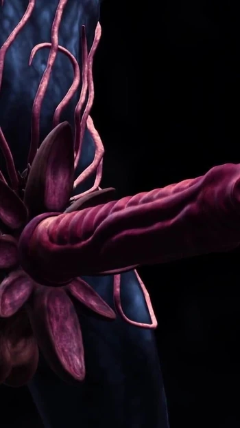 Обязательный для обмена момент из "Сексуальную красотку трахает инопланетная женщина в пещере на экзопланете"