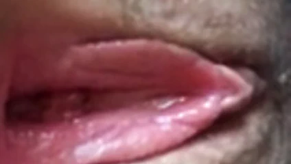 Amatör bi İsviçreli