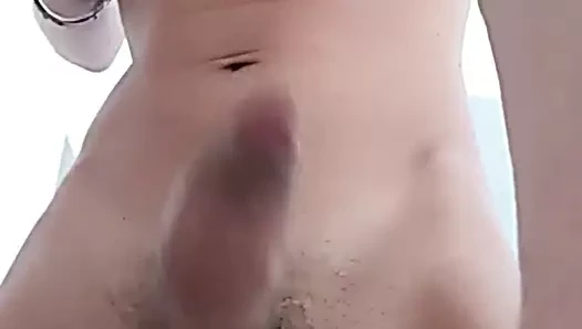Trans pauzuda iii