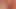 Hd pov çekim arasında güzel kremsi kedi itibaren arkasında