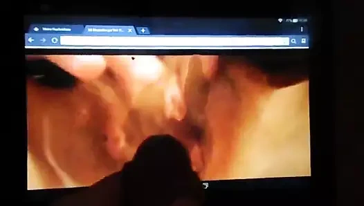 cicottela için haraç