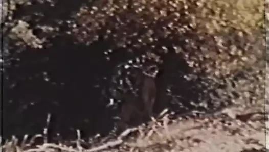 John'un kız kampçıları