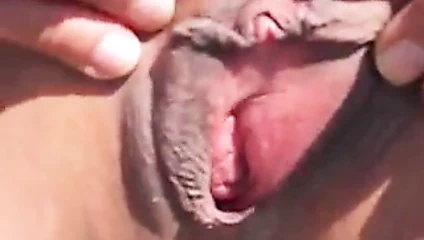 Belle'in eskimo sergisi